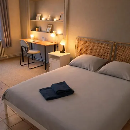 De Standing Centre Historique De Troyes