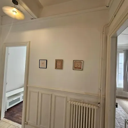 De Standing Centre Historique De 公寓 特鲁瓦